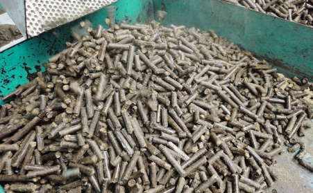 今日說說生物質燃料午夜美女福利视频的顆粒燃料那點事