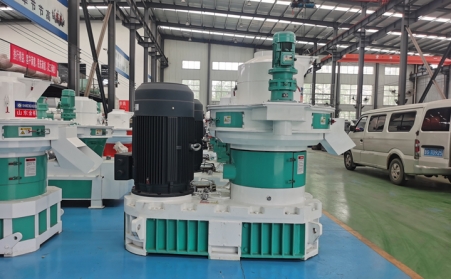 生物質顆粒燃料應用：作為點燃青奧運會主火炬的燃料