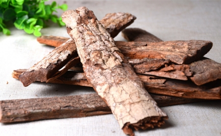 深入！為什麽歐洲需要依靠可持續的生物能源