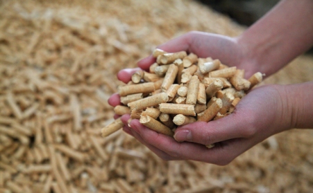 明確生物質成型燃料是清潔能源，加大政策扶持力度