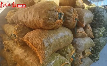 青海海東樂都：生物質顆粒燃料燃起鄉村振興新希望