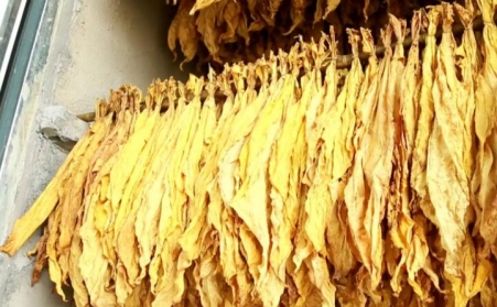 湖北省十堰市竹溪桃源鄉：生物質燃料運輸正當時