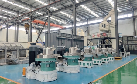 買生物質午夜美女福利视频怕踩坑？午夜美女福利视频廠家教你 3 招選對機型