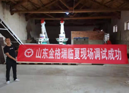 甘肅臨夏年產1萬5千噸生物質燃料午夜美女福利视频生產線調試完成